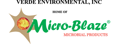 Micro-Blaze